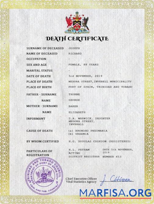 Printable Trinidad and Tobago vital record death certificate PSD template
